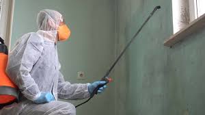 Best Emergency Mold Remediation  in Villisca, IA